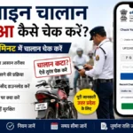 Online Chalan Kata Hua Kaise Check Kare